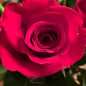 Meet your Posher, Ashleigh